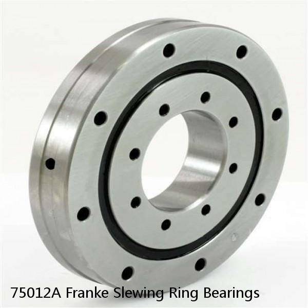 75012A Franke Slewing Ring Bearings