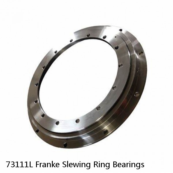 73111L Franke Slewing Ring Bearings