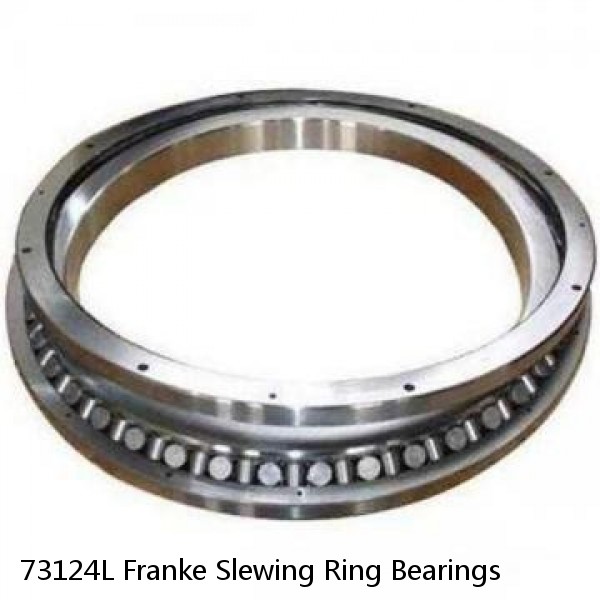 73124L Franke Slewing Ring Bearings