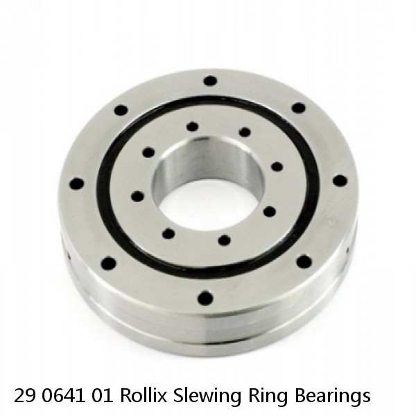 29 0641 01 Rollix Slewing Ring Bearings