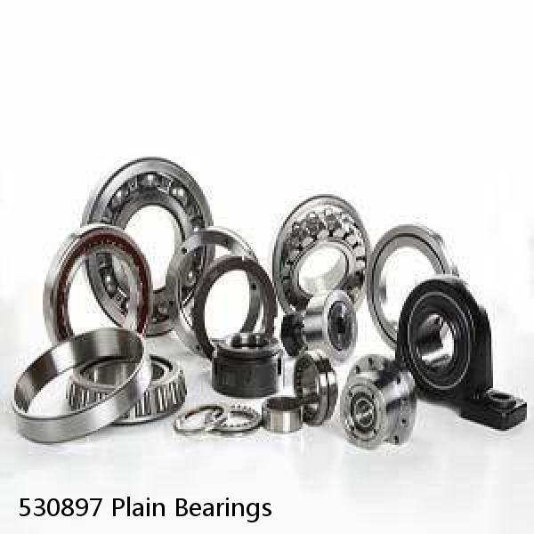 530897 Plain Bearings