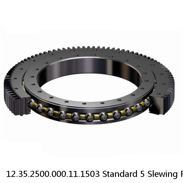 12.35.2500.000.11.1503 Standard 5 Slewing Ring Bearings