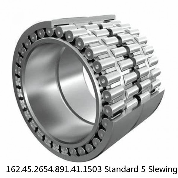 162.45.2654.891.41.1503 Standard 5 Slewing Ring Bearings