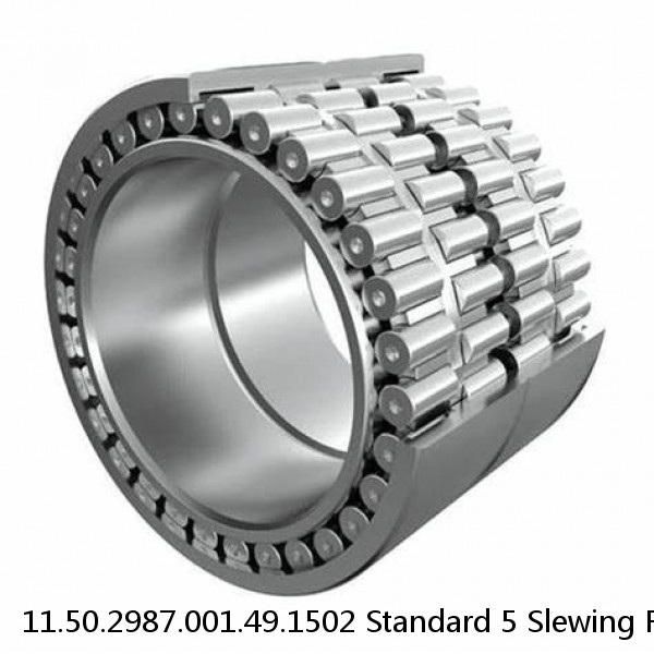 11.50.2987.001.49.1502 Standard 5 Slewing Ring Bearings