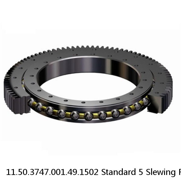 11.50.3747.001.49.1502 Standard 5 Slewing Ring Bearings