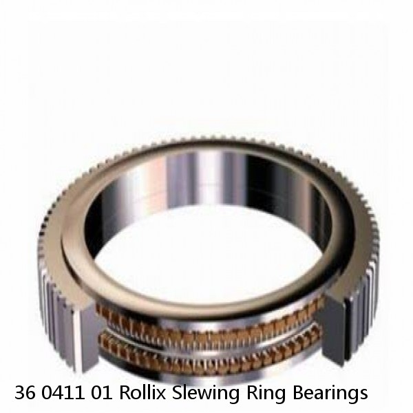 36 0411 01 Rollix Slewing Ring Bearings