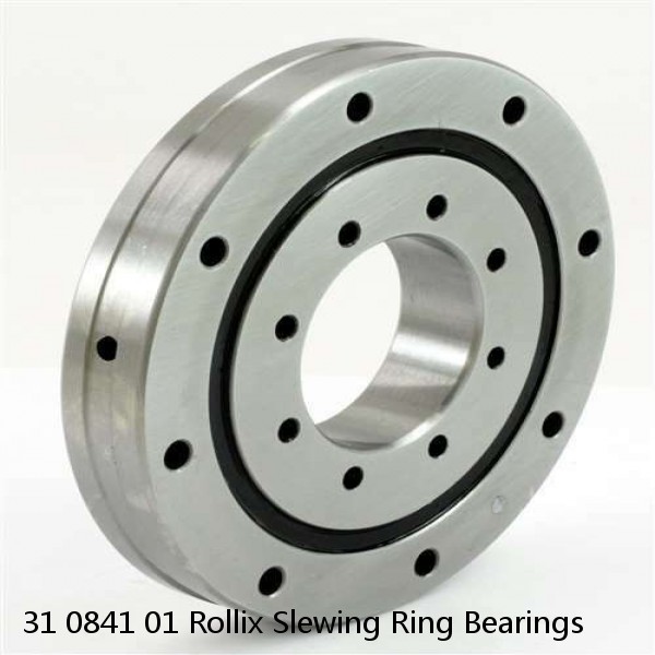 31 0841 01 Rollix Slewing Ring Bearings