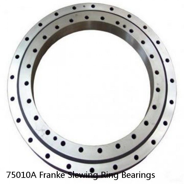 75010A Franke Slewing Ring Bearings