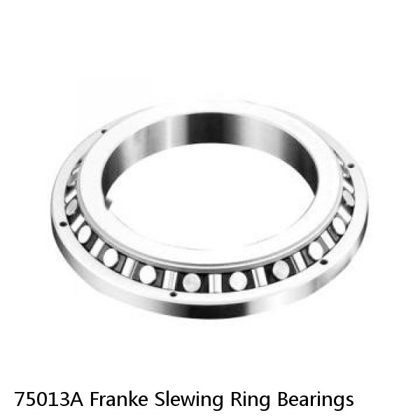 75013A Franke Slewing Ring Bearings