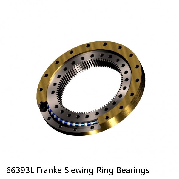 66393L Franke Slewing Ring Bearings