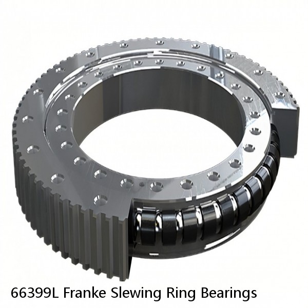 66399L Franke Slewing Ring Bearings