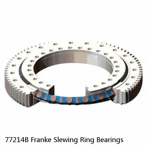 77214B Franke Slewing Ring Bearings