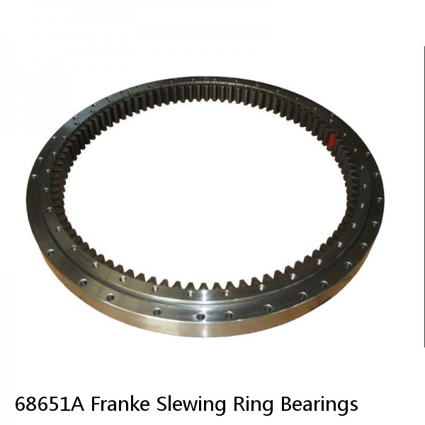 68651A Franke Slewing Ring Bearings