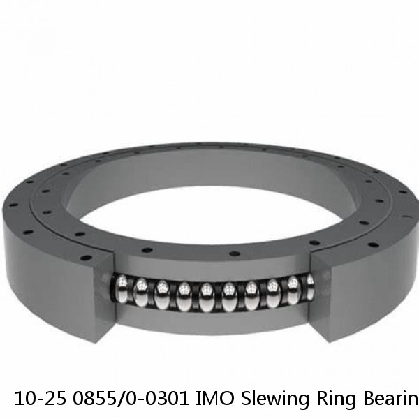 10-25 0855/0-0301 IMO Slewing Ring Bearings