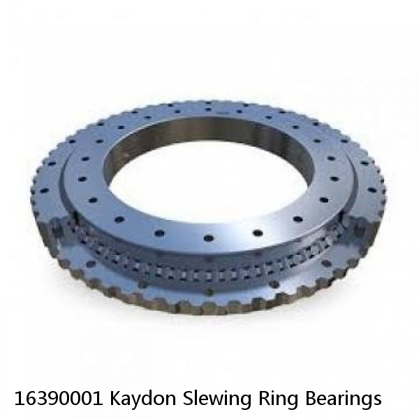 16390001 Kaydon Slewing Ring Bearings