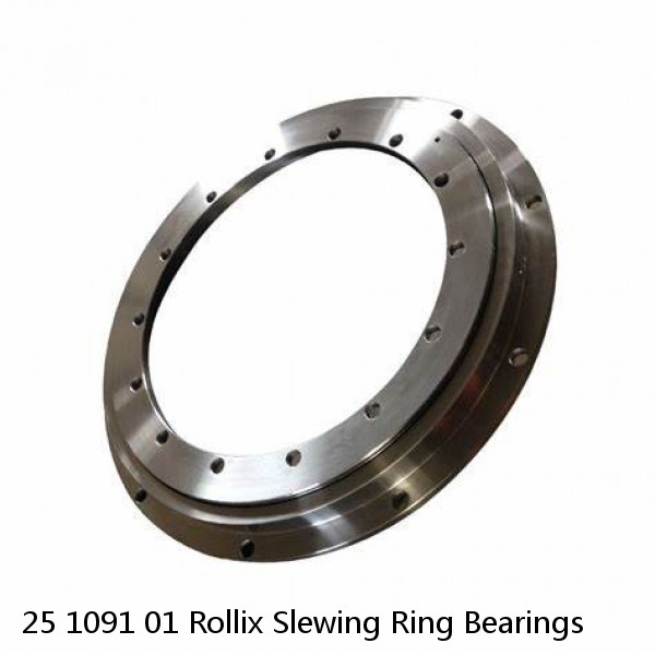 25 1091 01 Rollix Slewing Ring Bearings