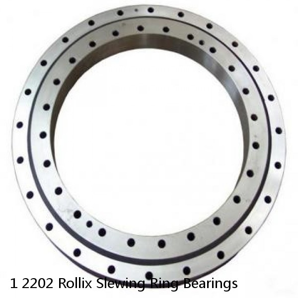 1 2202 Rollix Slewing Ring Bearings