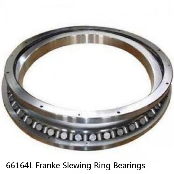 66164L Franke Slewing Ring Bearings