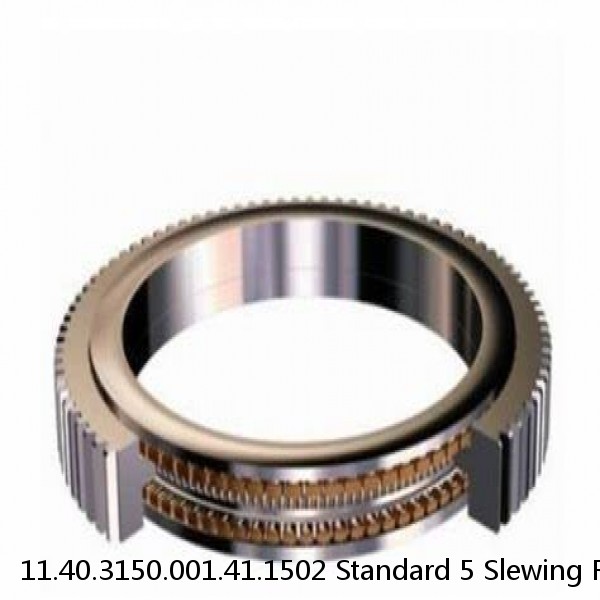 11.40.3150.001.41.1502 Standard 5 Slewing Ring Bearings