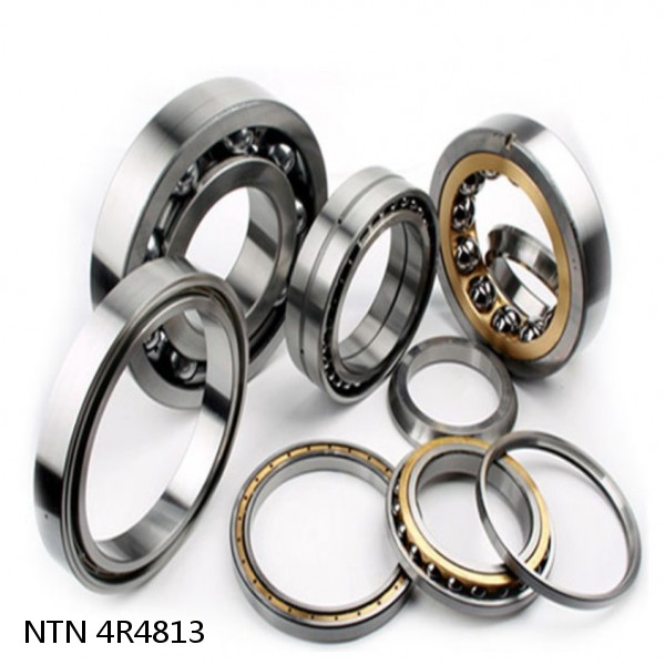 4R4813 NTN Cylindrical Roller Bearing