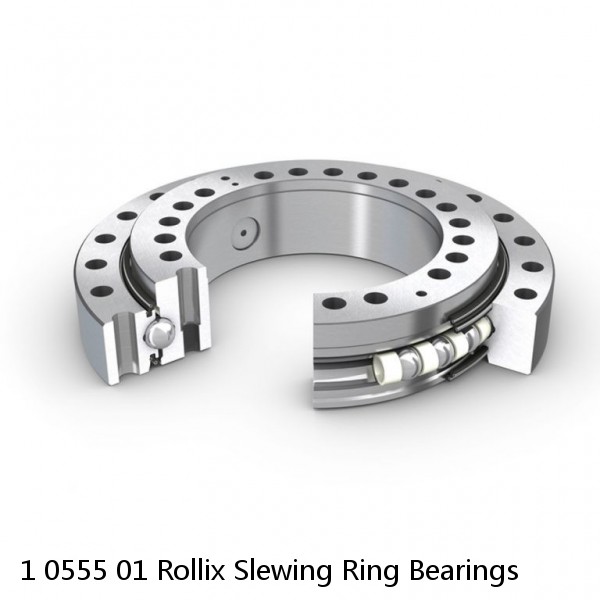 1 0555 01 Rollix Slewing Ring Bearings