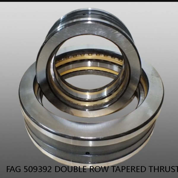 FAG 509392 DOUBLE ROW TAPERED THRUST ROLLER BEARINGS