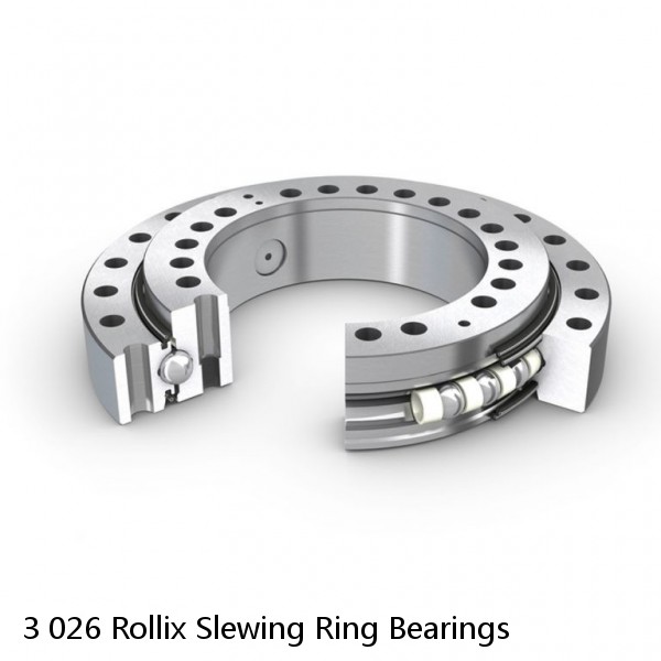 3 026 Rollix Slewing Ring Bearings