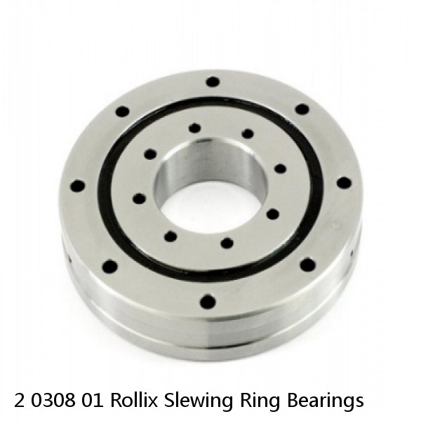 2 0308 01 Rollix Slewing Ring Bearings