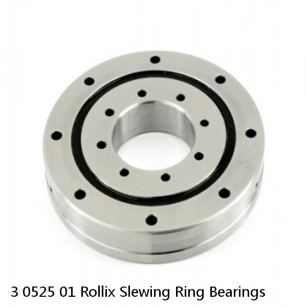 3 0525 01 Rollix Slewing Ring Bearings