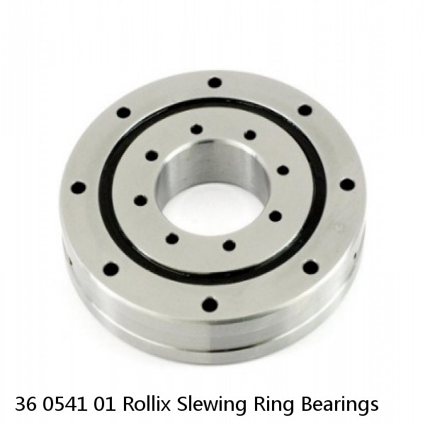 36 0541 01 Rollix Slewing Ring Bearings