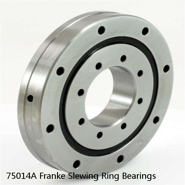 75014A Franke Slewing Ring Bearings