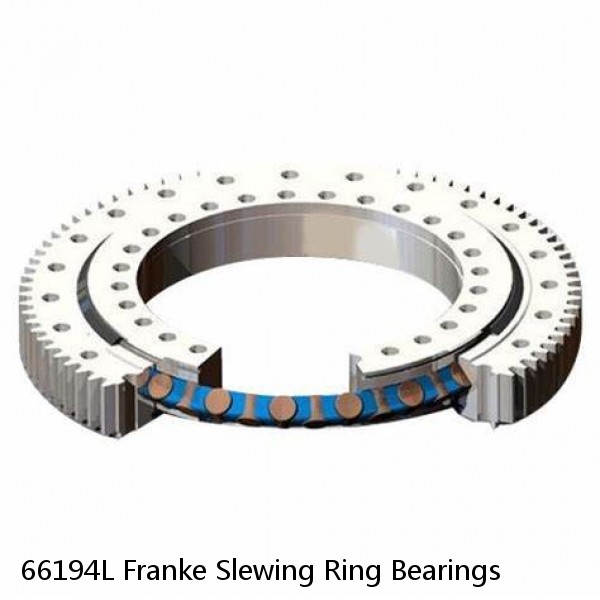 66194L Franke Slewing Ring Bearings