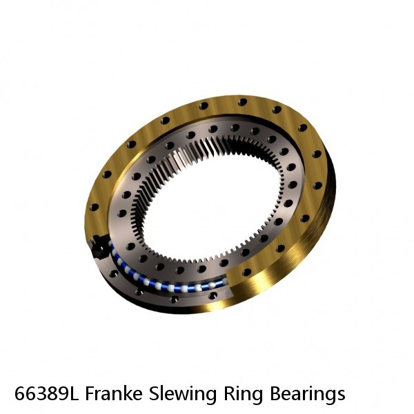 66389L Franke Slewing Ring Bearings